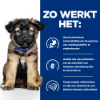 Afbeeldingen van Hills Prescription Diet i/d PUPPY - DRY