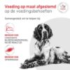 Afbeeldingen van Royal Canin Glycobalance SMALL DOG - DROOGVOER