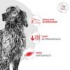 Afbeeldingen van Royal Canin Glycobalance SMALL DOG - DROOGVOER