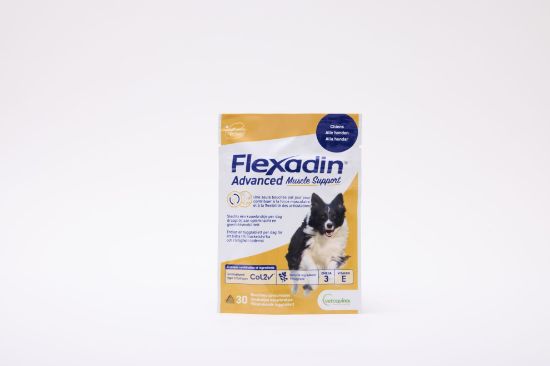 Afbeeldingen van Flexadin Flexadin Advanced Muscle Support (hond) - 30 CHEWS