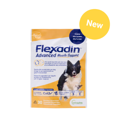 Afbeeldingen van Flexadin Advanced Muscle Support Dog - 30 Chews